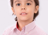 Tudor_S