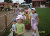 miniclub_condor_ferma_animalelor_3